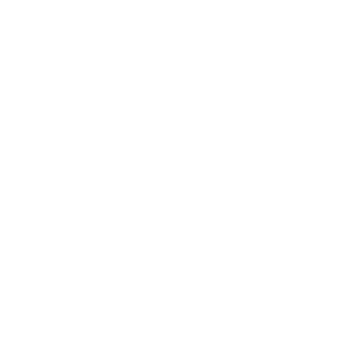 Koneser Logo